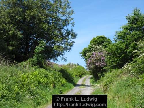 Ox Mountains, County Sligo and County Mayo